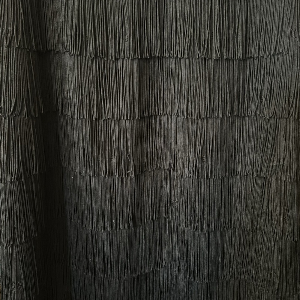 Jaygodfrey black silk fringe skirt size 8 - Picture 7 of 8